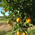 L'escale Au Portugal Villa-b&b-spa *