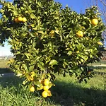 게스트하우스 L'escale Au Portugal Villa-b&b-spa Ataija de Baixo